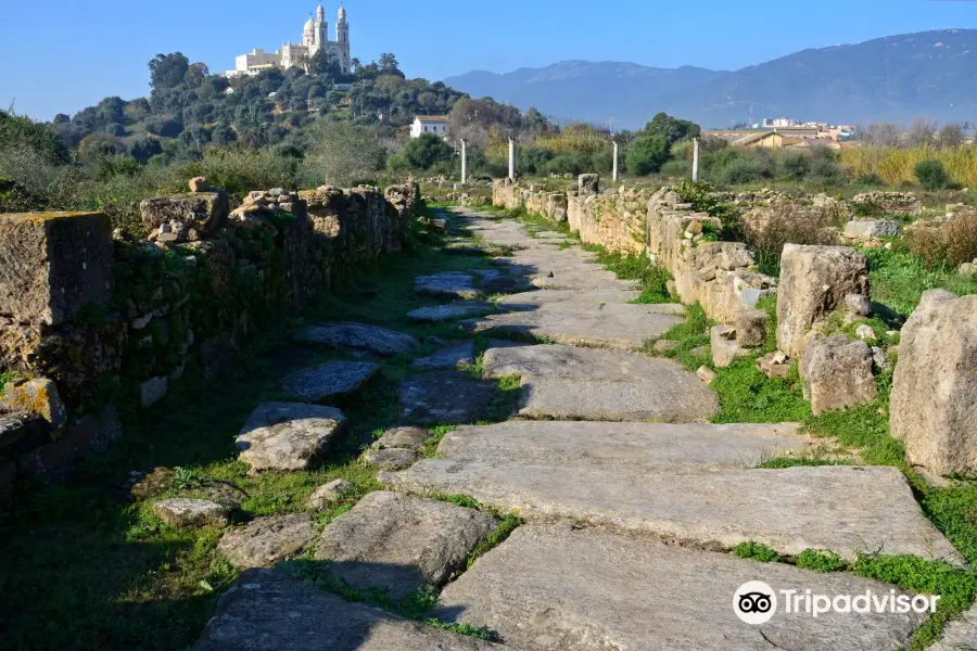 Musee des Ruines d' Hippone