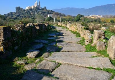 Musee des Ruines d' Hippone