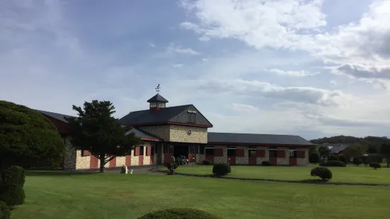 Breeders Stallions Station