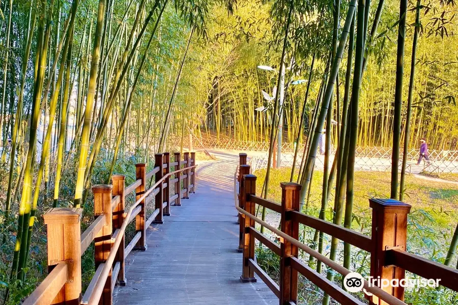 太和江地方庭院