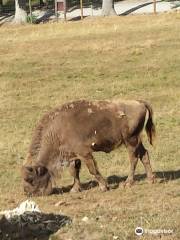 Wildpark Gersfeld (Rhön)