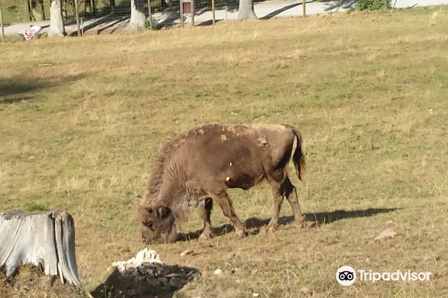 Wildpark Gersfeld