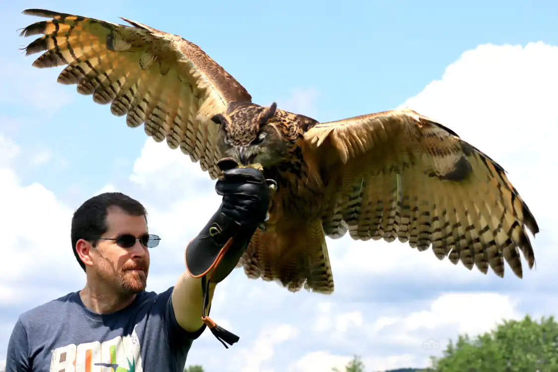 Hotels in der Nähe von New England Falconry
