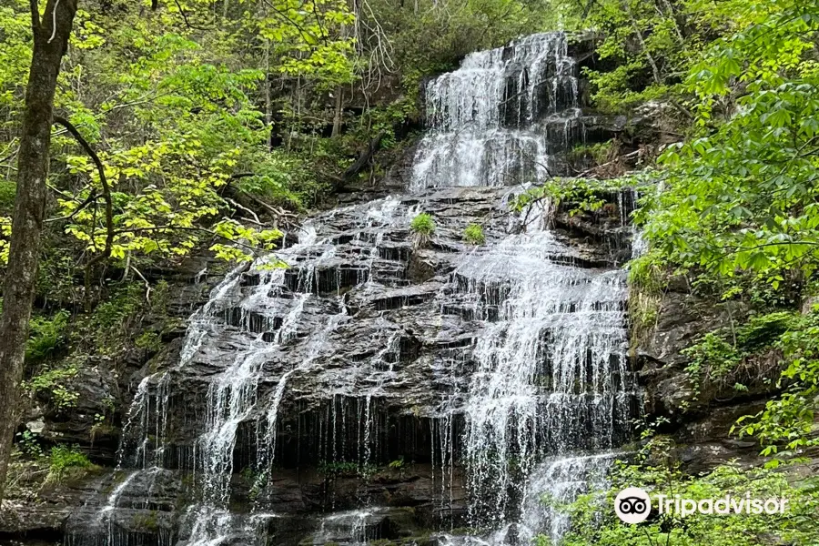 Station Cove Falls Trailhead