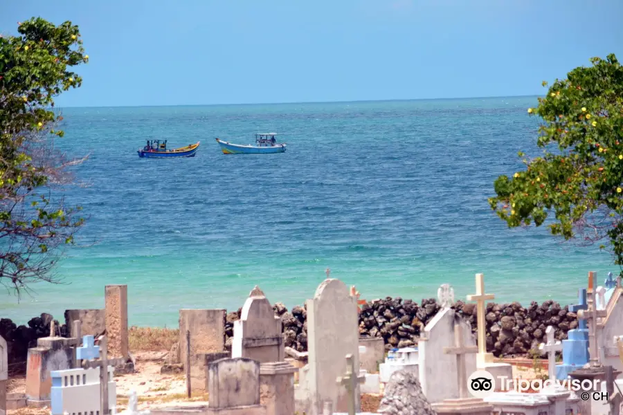 Neduntheevu (Delft Island)