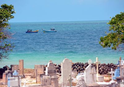 Neduntheevu (Delft Island)