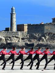 Lizt Alfonso Dance Cuba