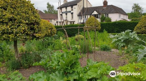 Mary Arden's Farm