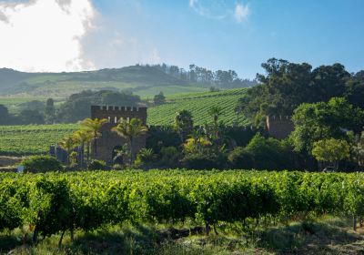 Fort Simon Wine Estate