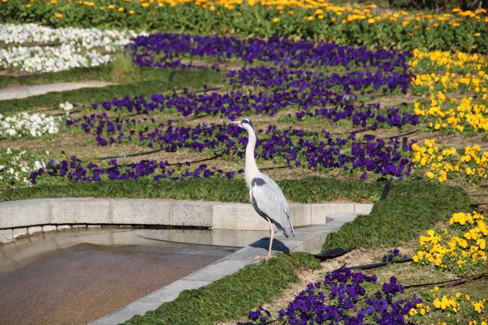 2_住吉公園