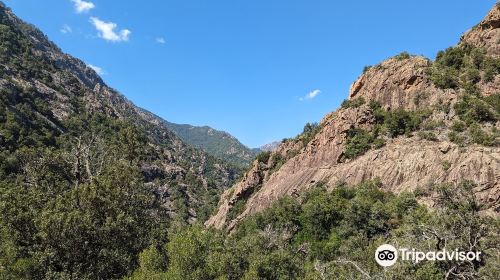 La Forêt de Bonifato La Foret de Bonifato