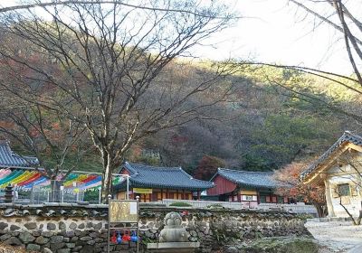 Gangcheonsan County Park