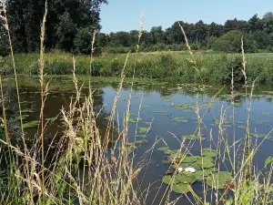 Recreation Domain De Mosten