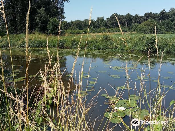 Recreation Domain De Mosten