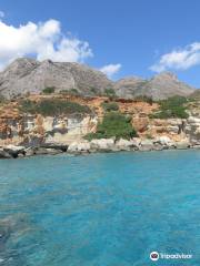 Petrified Forest, Agia Marina Paralia