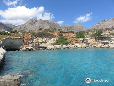 Petrified Forest, Agia Marina Paralia