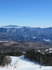 開田高原マイアスキー場