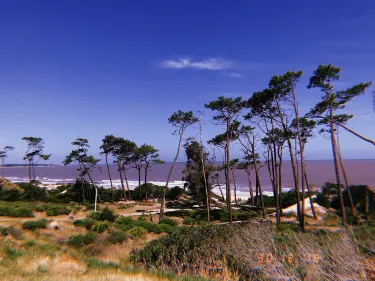 Fortin de Santa Rosa