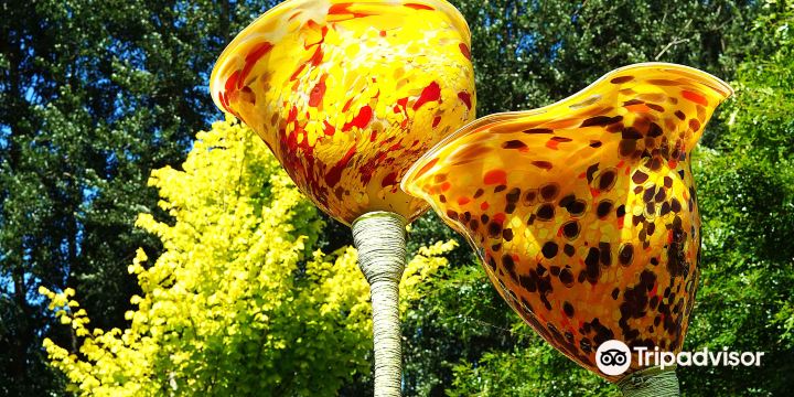 Lava Glass - Glassblowing Studio, Sculpture Garden, Art Gallery, Café