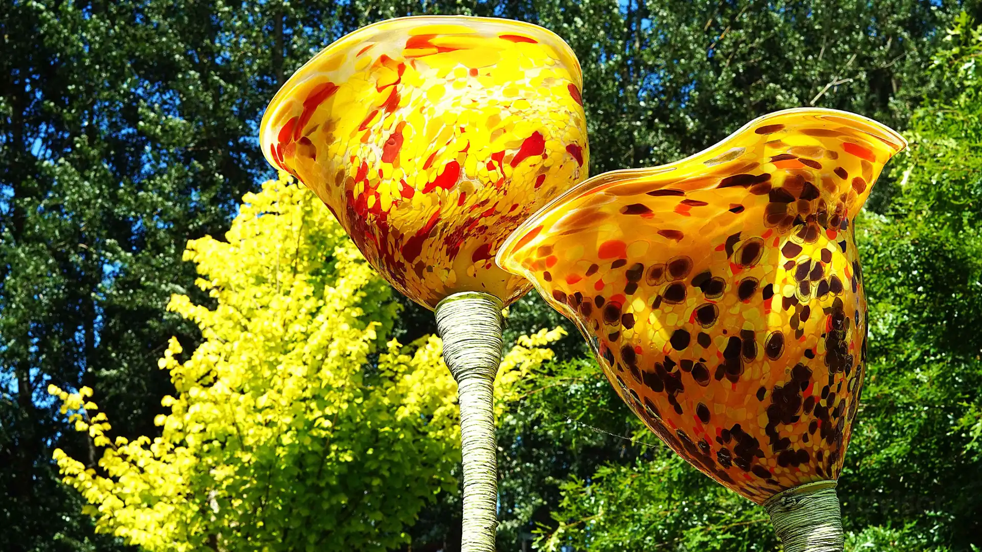 Hotels near Lava Glass - Glassblowing Studio, Sculpture Garden, Art Gallery, Café