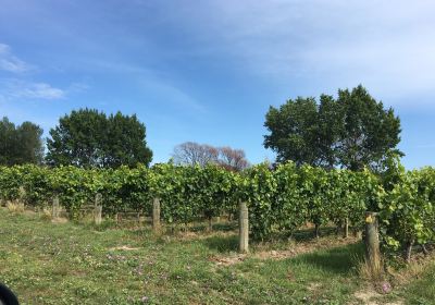 Dog Point Vineyard