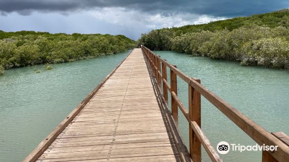 Streeter's Jetty Broome