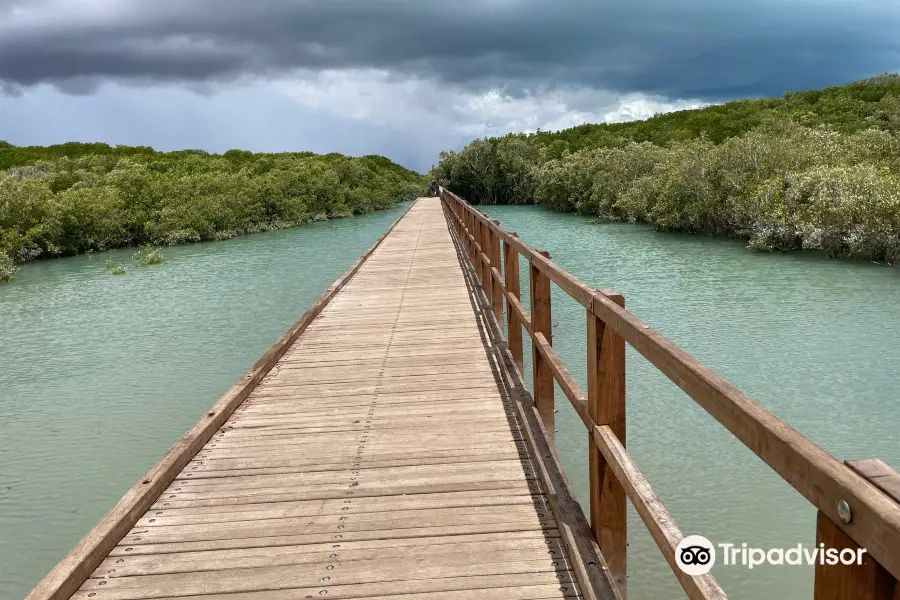 Streeter's Jetty Broome