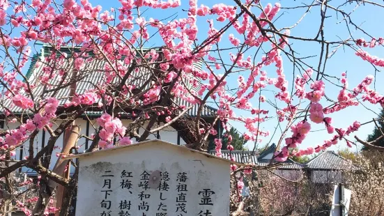 高伝寺（高伝禪寺）