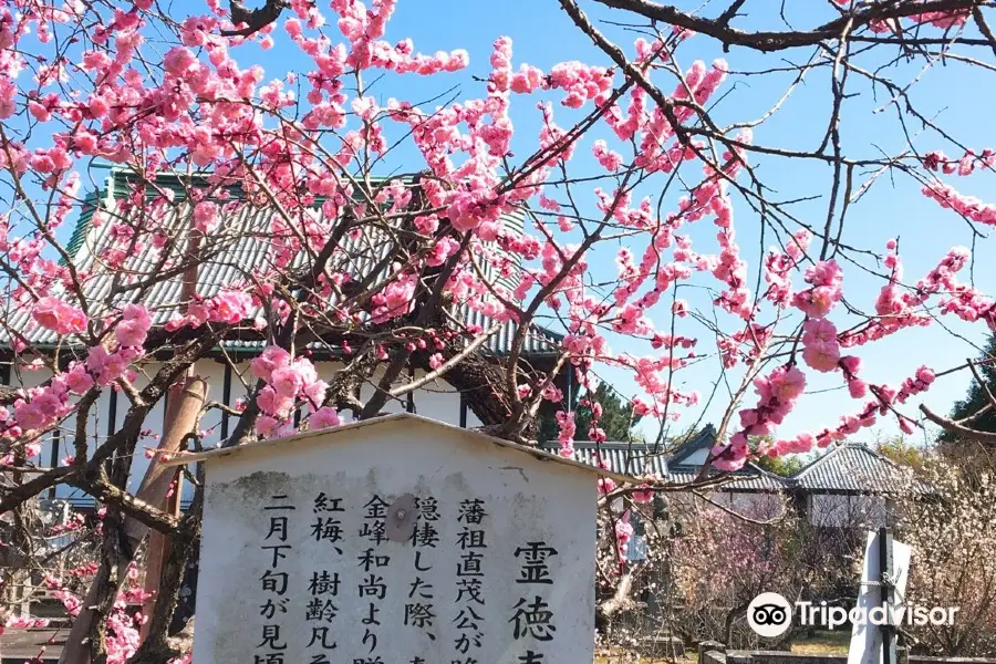 高伝寺（高伝禪寺）