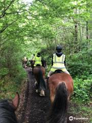 Blackstone Clydesdales & DIG-a-Day Experience