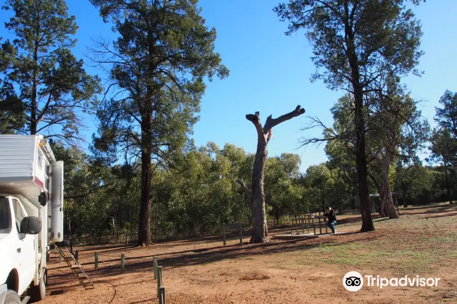 Cocoparra National Park