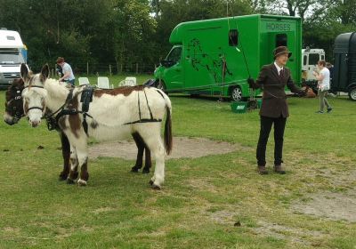 Island Farm Donkey Sanctuary