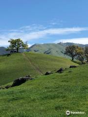 Old Borges Ranch