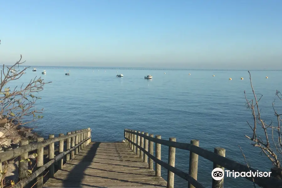 Shoebury East Beach