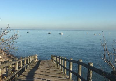 Shoebury East Beach