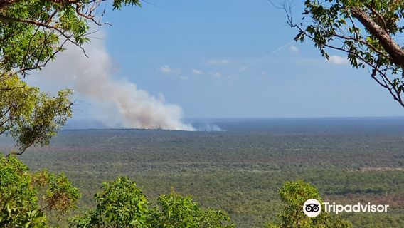 Kakadu
