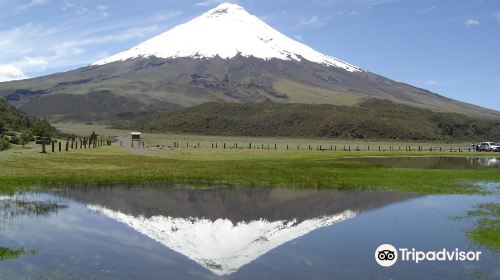 Cotopaxi- Administration National Park