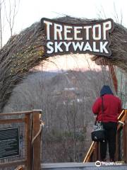 Treetop Skywalk at Anakeesta