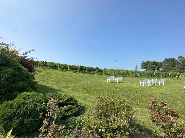 Hotels in Kelly Township
