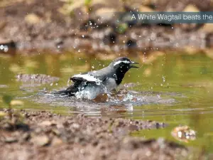 カルナーラ鳥類保護区