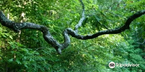 Reynolds Nature Preserve