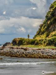 Chiloe Island Penguin Colony