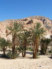 Ain Khudra Oasis
