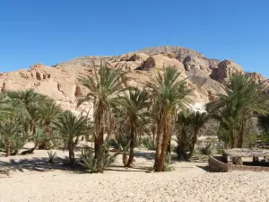 Ain Khudra Oasis