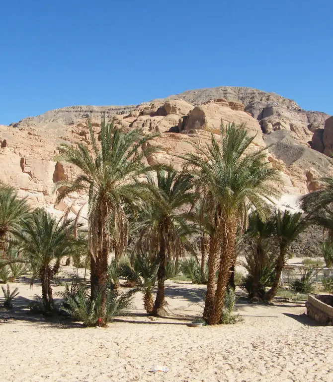 Qesm Dahab