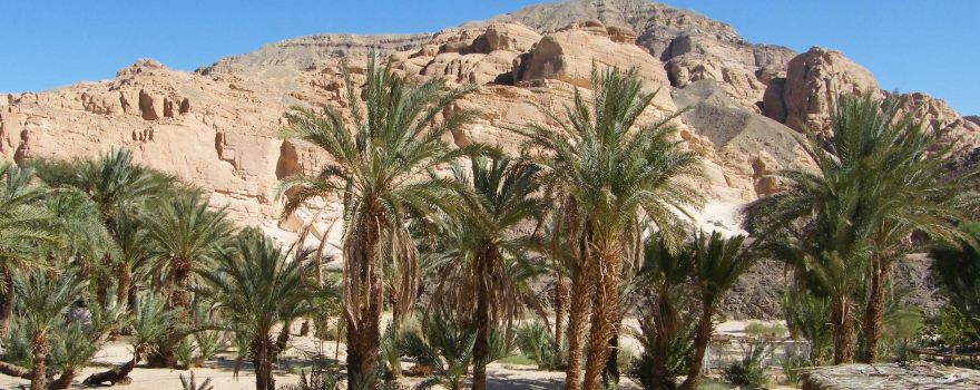 Qesm Dahab