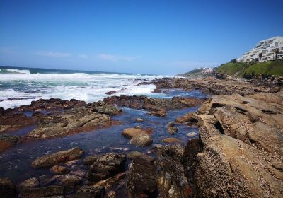 Dolphin Coast