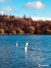 Loughgall Country Park