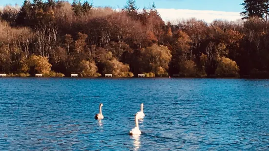 Loughgall Country Park