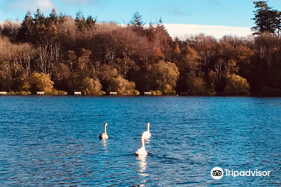 Loughgall Country Park